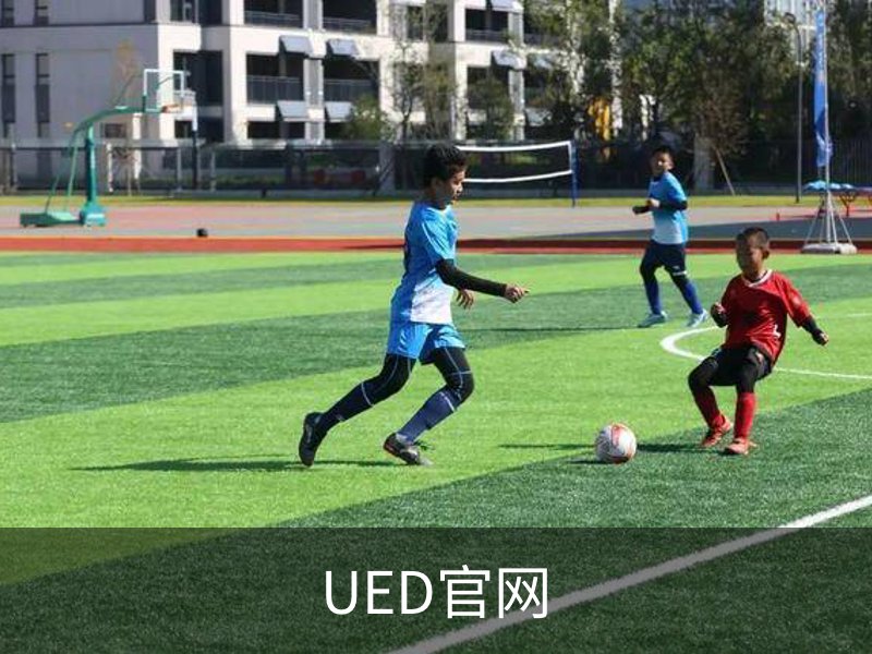 了解UED官网